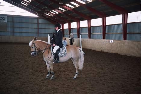 Haflinger Eizhia - og et billed fra opvarmning (stævne RHO) billede 14