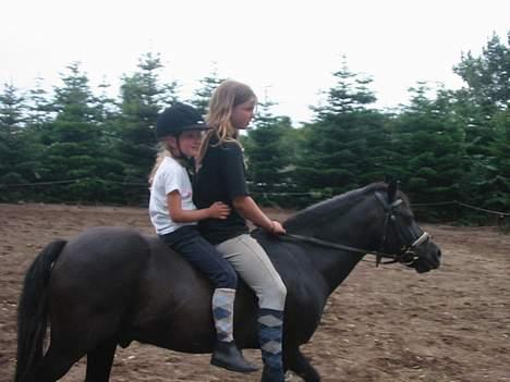 Dartmoor Beauty - mig og den nye ejer på Beauty(se hvor stor jeg er til ham)2007 billede 12