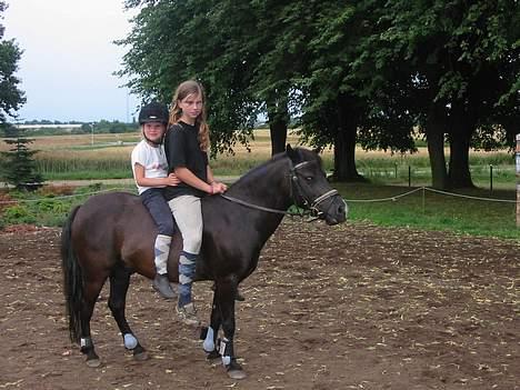 Dartmoor Beauty - Puttæh, smukke Beauty og mig 2007 billede 14