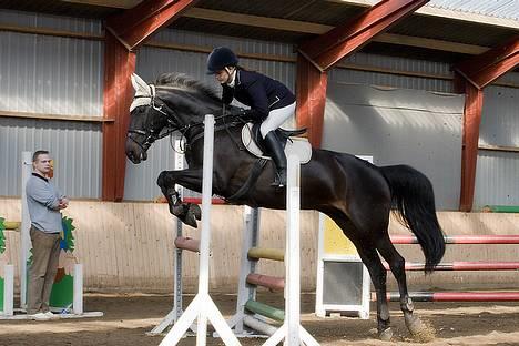 Dansk Varmblod Losanna - solgt - Losanna og jeg til distriktsstævne i Hylke, vi red LB-LA og vandt Lb billede 7
