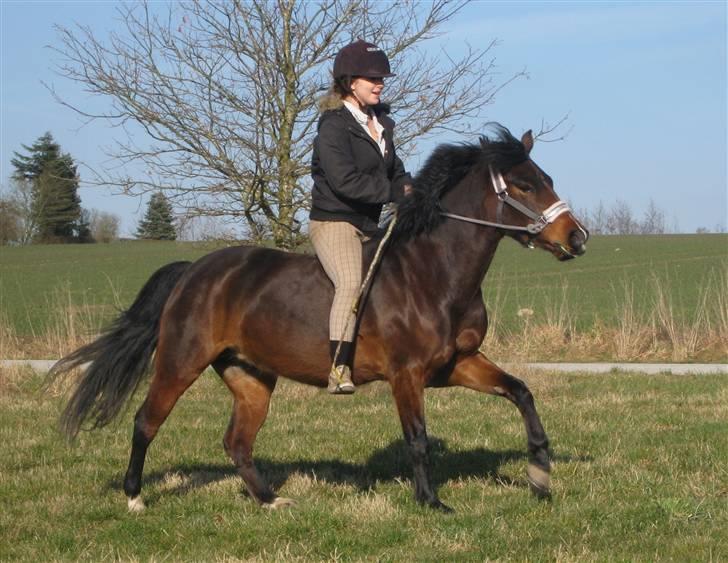 Anden særlig race Flying Fie (gl. Part) - Når vi er sammen er intet umuiligt! <3 billede 7