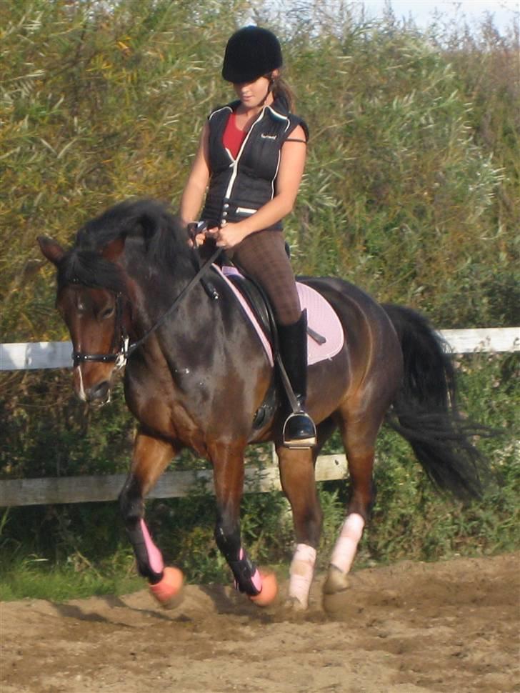 Anden særlig race Flying Fie (gl. Part) - NYT Skønne Fie <3 billede 9