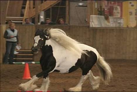 Tinker Lord Wallentin  * DØD * - Wallentin til kårring billede 15
