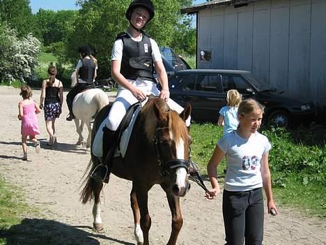 DSP Lori *død* R.I.P. - et billede fra et springstævne 11 juni.. belv disket i Mini og Sløjfe, de eneste klasser jeg stilte op i billede 2