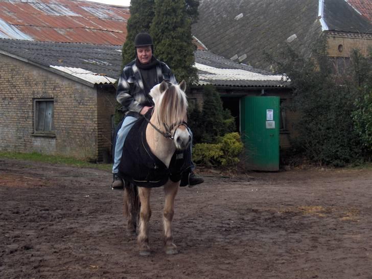 Fjordhest Mick Mølbak FJ 9403365 - Min far og Mick , ret grin billede (: billede 10