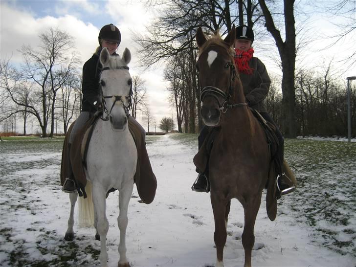 Sportsaraber (A) Lukas billede 16