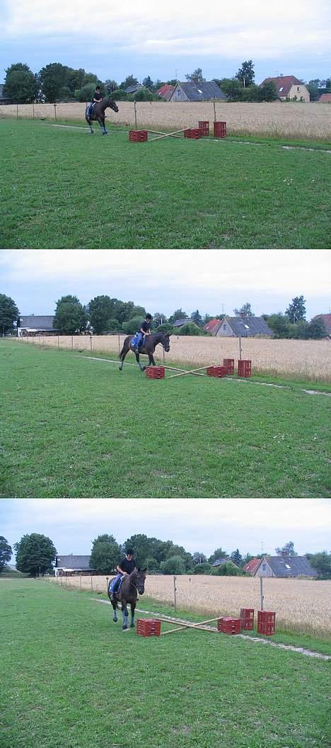 Traver Elliot Swing (Fjot) Død) - Skal - skal ikk???? billede 16