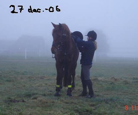 Dansk Varmblod Ness'  - Vanessa og jeg, taget d. 27 dec.-06 billede 3