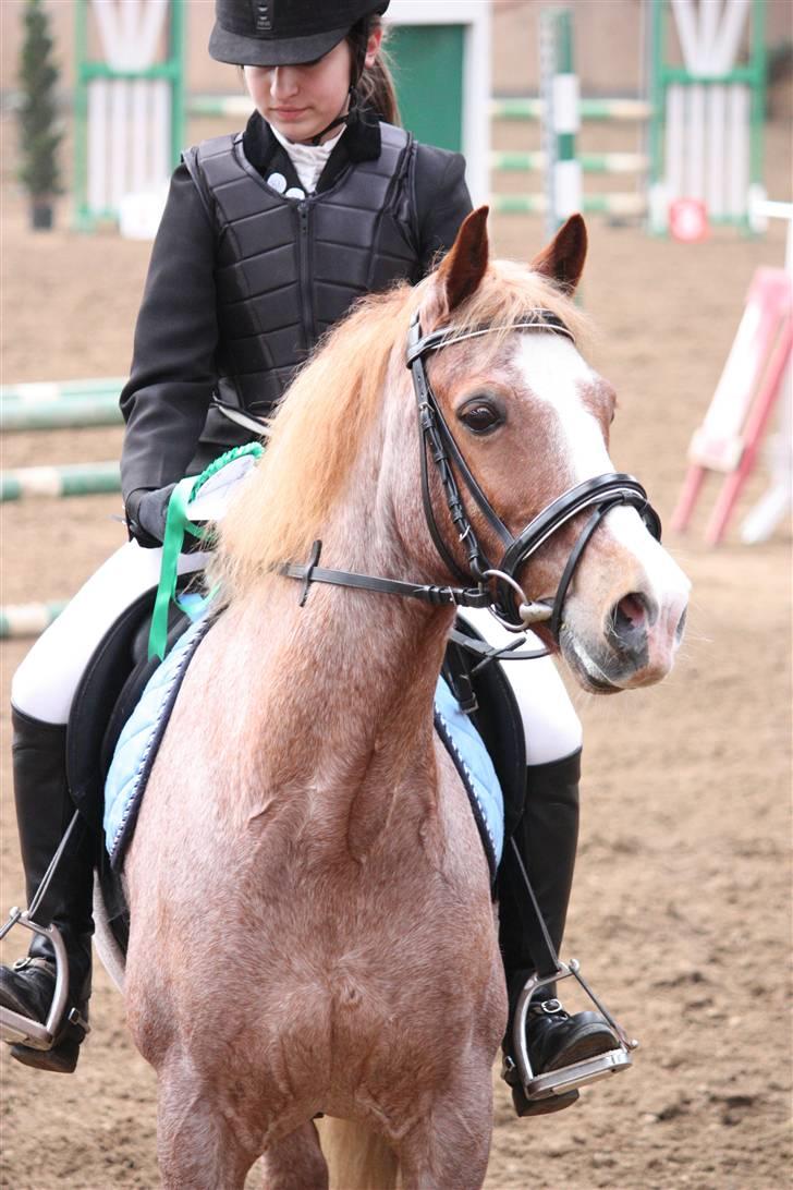 Anden særlig race Mario - Velkommen til Mario´s profil - 4. plads i LB billede 2