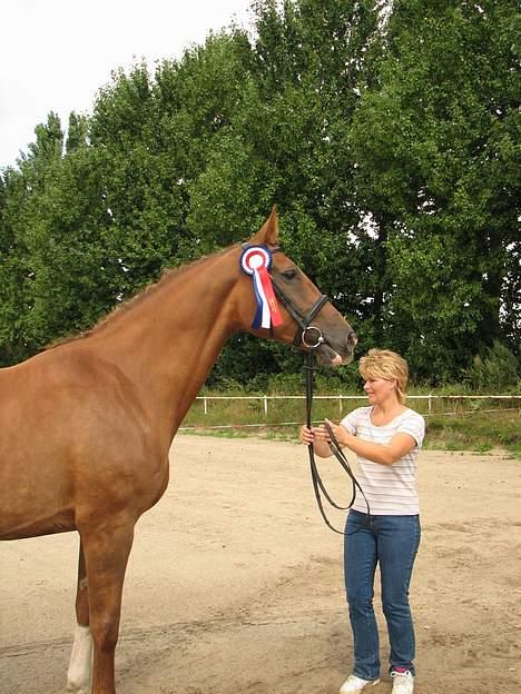 Holstener Harmonie P billede 13