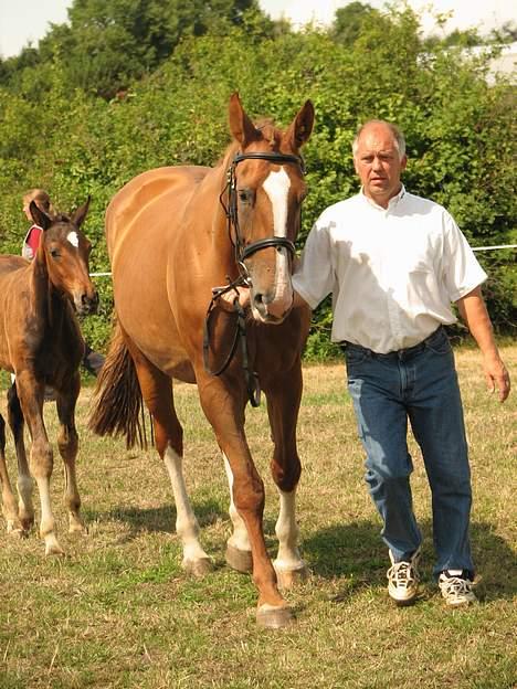 Holstener Harmonie P billede 15