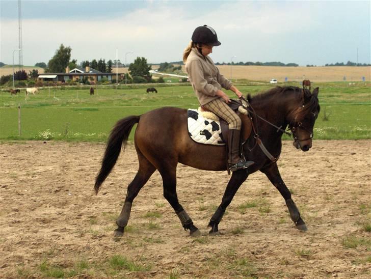 Anden særlig race Little Beauty Angel - Jaah, hun kan jo godt strække benene*Ingen af mine Billedere må under ingen om stændigheder bruges til netpony sider!* billede 18