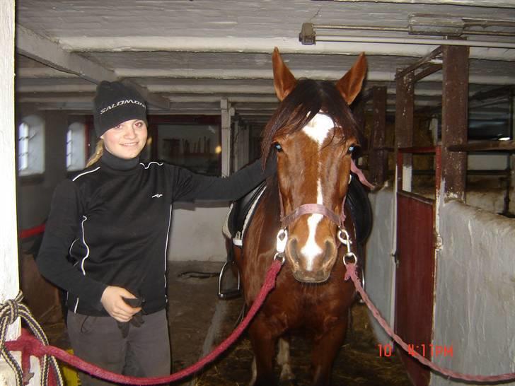 Anden særlig race Velour  - Velour & jeg i stalden. vinter-05.  billede 4