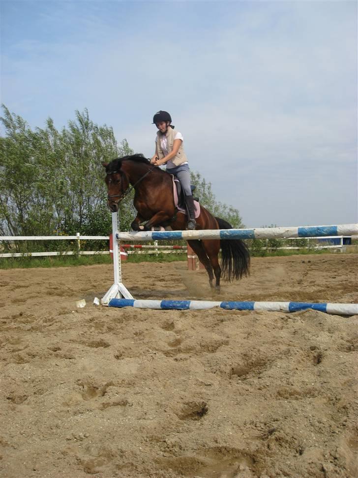 Anden særlig race Flying Fie (gl. Part) - Mig og fie springer ;b  billede 15