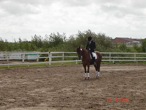 Anden særlig race Velour  - Parade i LC2´en i jetsmark som vi vandt (sidste stævne sammen)  billede 5