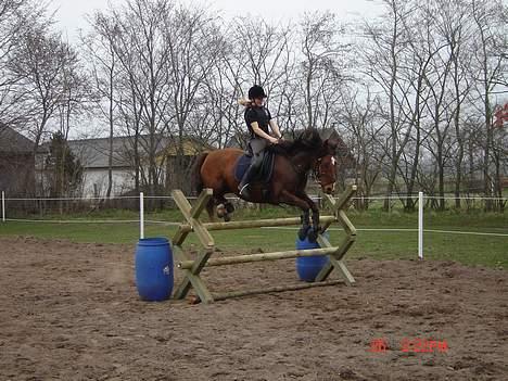 Anden særlig race Velour  - Velour og jeg springer 110, i starten af Maj-06 billede 6