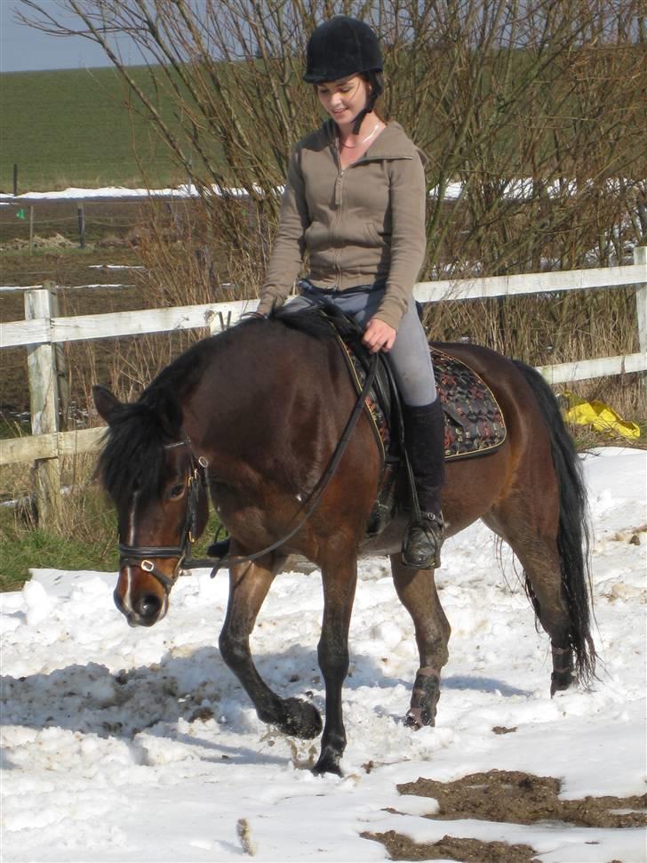 Anden særlig race Flying Fie (gl. Part) - NYT: Fie skridter for..  billede 20