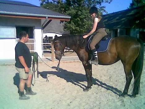 Dansk Varmblod Koh-I-Noor Graftebjerg - Så kom der endelig rytter på hende for første gang 26/7-06. Fed fornemmelse endelig at sidde på hende... billede 16