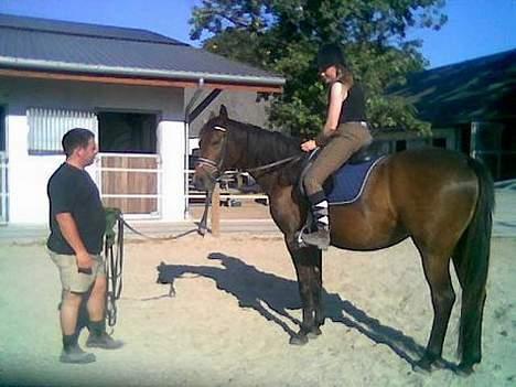 Dansk Varmblod Koh-I-Noor Graftebjerg - Igen mig på ryggen af hende for første gang 26/7-06. Kvaliteten er desværre ikke for god da det er mobilen der måtte agere kamera... billede 17