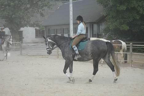Sportsaraber (A) Snehvide - En sommertyk Snehvide og jeg d. 17/6-06 billede 16