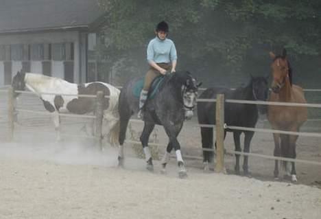 Sportsaraber (A) Snehvide - Snehvide og jeg d. 17/6-06 billede 17