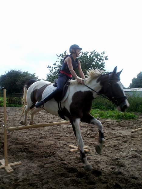 Pinto Tequilla - Springer med min veninde (Camilla HMR) billede 19