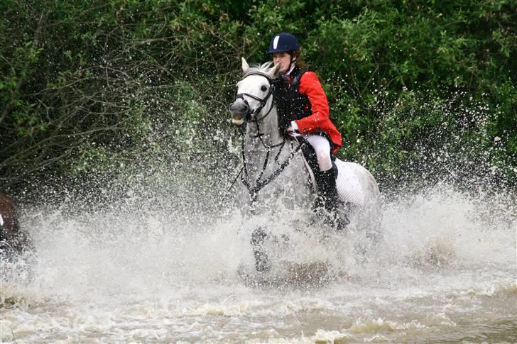 Tysk Sportspony Sandor<33 R.I.P. Savnet<3 billede 6