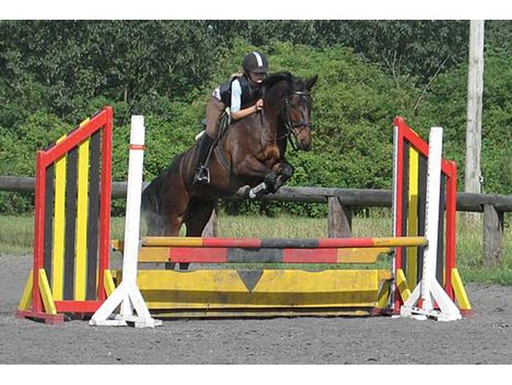 {{currentPhoto.altText}} billede {{currentPhoto.number}}