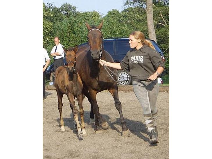 {{currentPhoto.altText}} billede {{currentPhoto.number}}