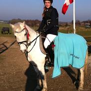 Anden særlig race Bandit "den elskede" :D <3