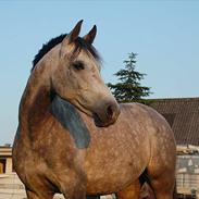 Anden særlig race lady a nyborg*miss you!!:-**