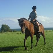 Islænder Halldór fra Ærø