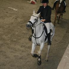 Anden særlig race Star B-PONY!