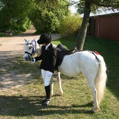 Anden særlig race Coco