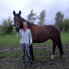 Anden særlig race Rioja