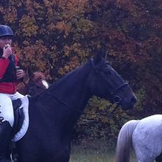 Anden særlig race Rioja