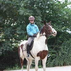 Anden særlig race Liverpool