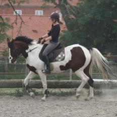 Anden særlig race Liverpool