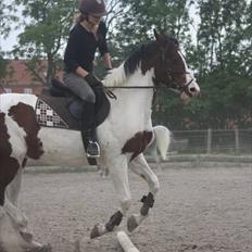 Anden særlig race Liverpool