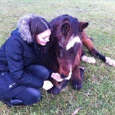 Anden særlig race Ibrahim