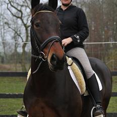 Oldenborg søstedgård's honey