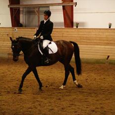 Anden særlig race Cadeau (part)