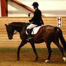 Anden særlig race Cadeau (part)