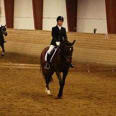 Anden særlig race Cadeau (part)