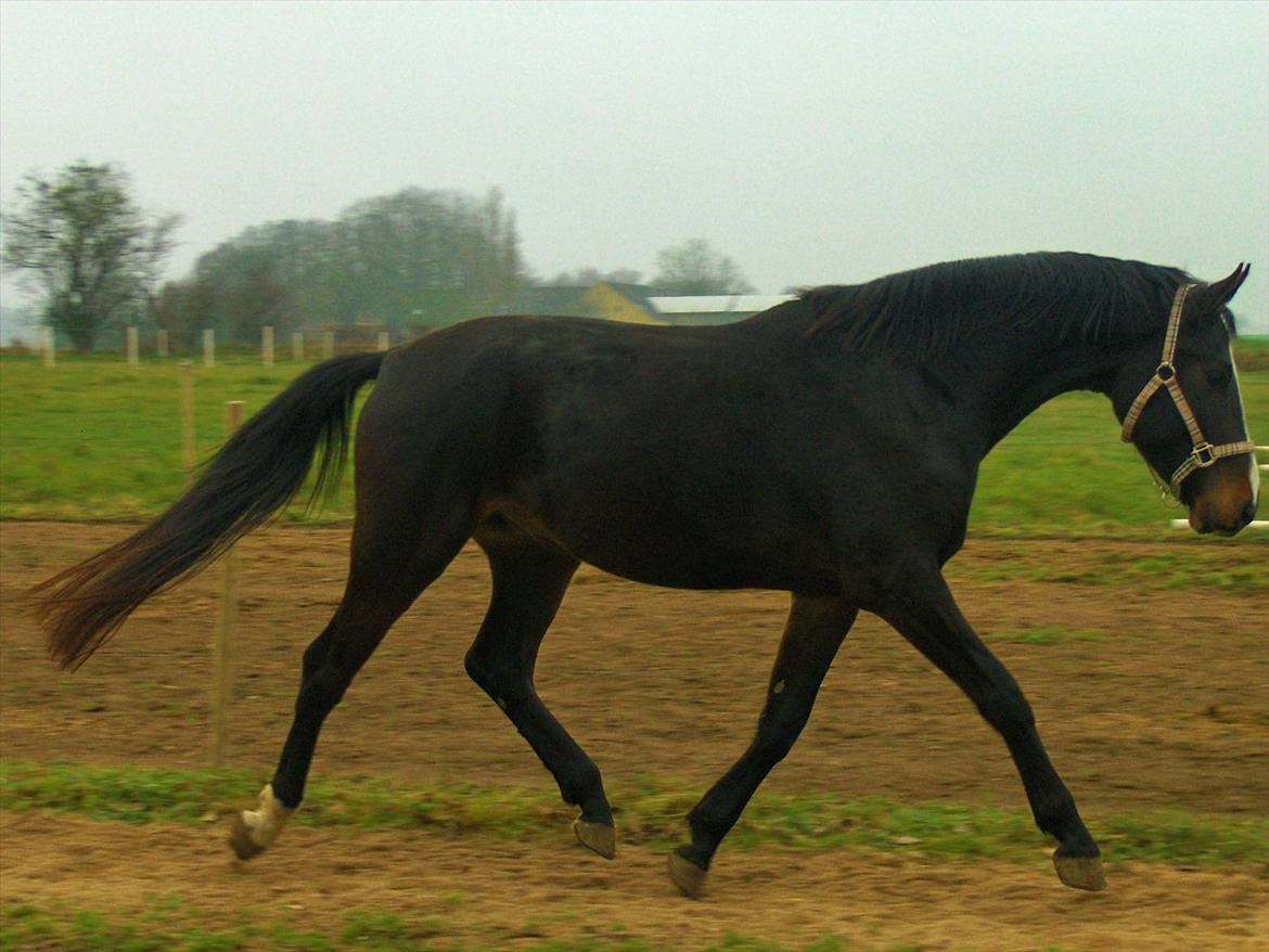 Oldenborg Rosenhavens Madok billede 2