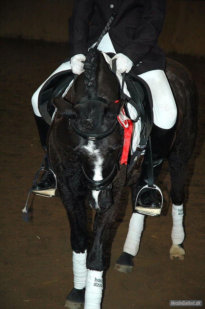 DSP Bjerregaards Wendy billede 19