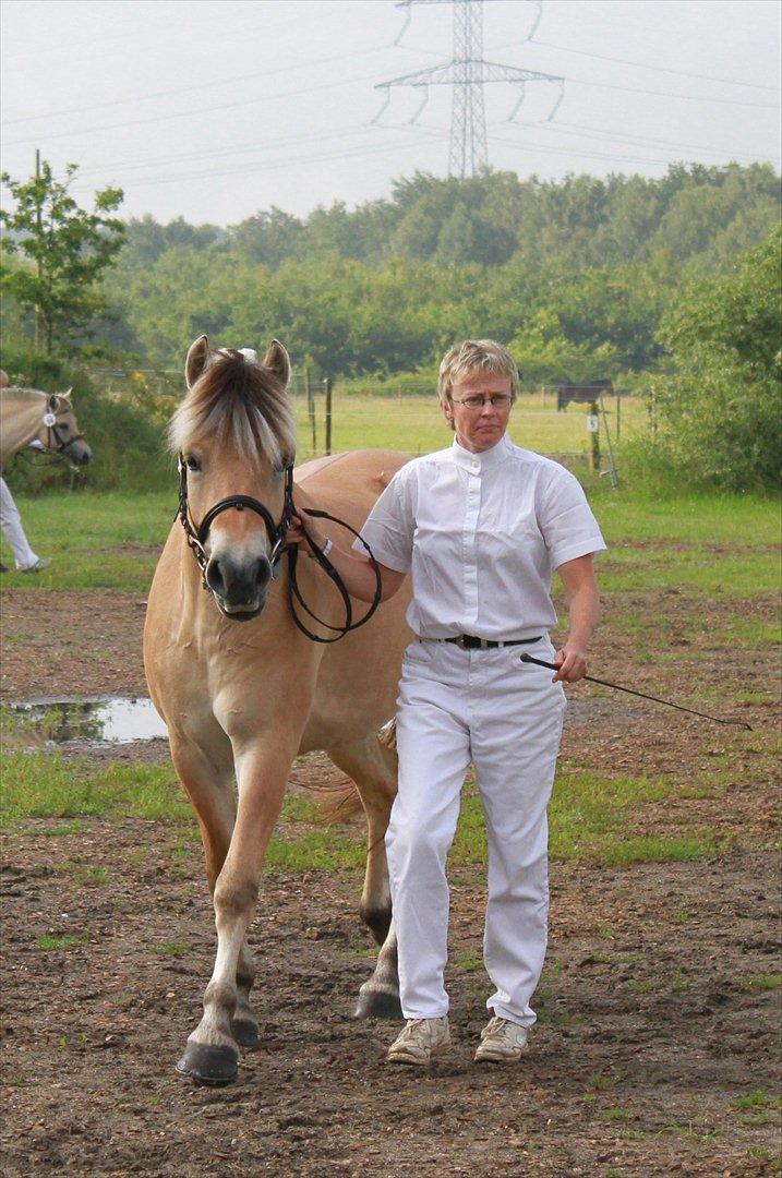 Fjordhest Ingunn Granlygaard - Ingunn til kåring, det er Pia der går ved siden af d. 15.07.2011 billede 9