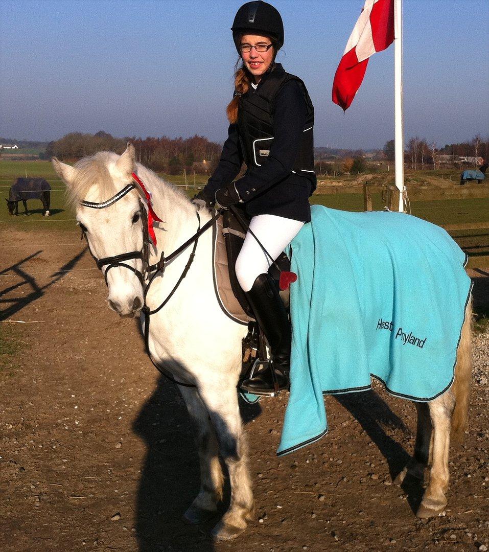 Anden særlig race Bandit "den elskede" :D <3 - Billed 1. Velkommen til Bandits profil :D
- Vores første stævne 70 cm 1 plads! :D billede 1
