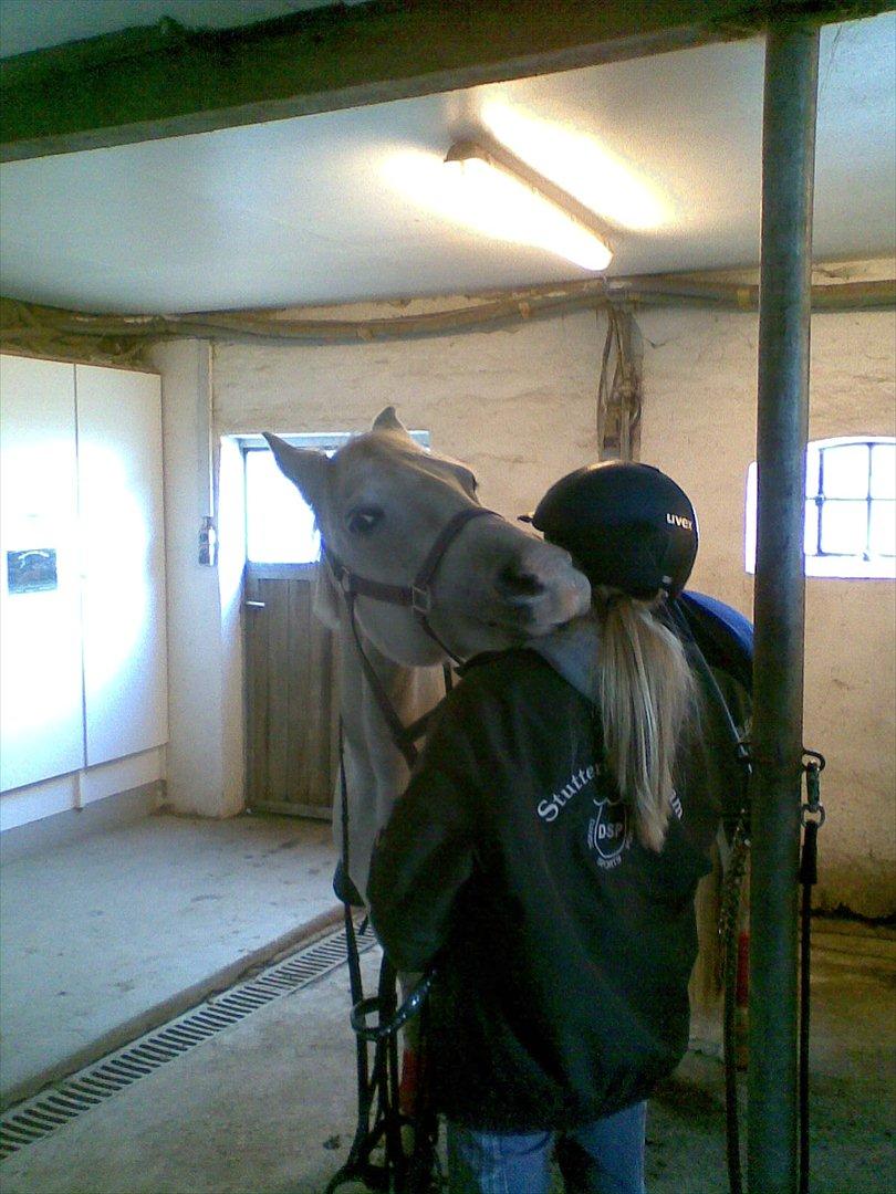 DSP Siska Bredager - "Det er menneskene der skal lærer af hesten, ikke hesten der skal lærer af menneskene." At Danse Med Heste. billede 9