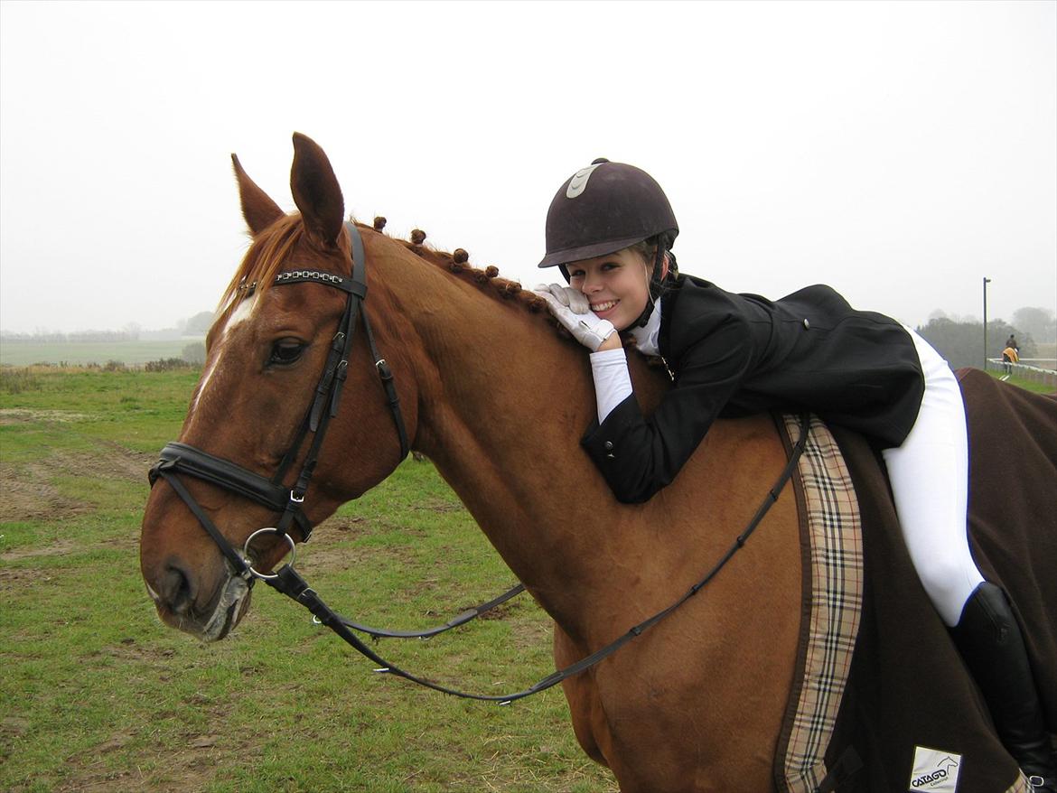 Dansk Varmblod Activ - Dig elsker jeg! <3 billede 5